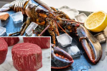 Live 1 1/2lb Lobster Surf & Turf