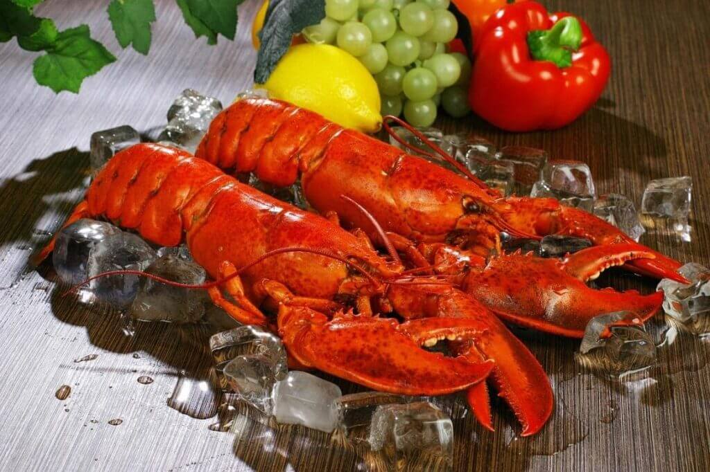 Why Do Lobsters Turn Red? | Seafood University