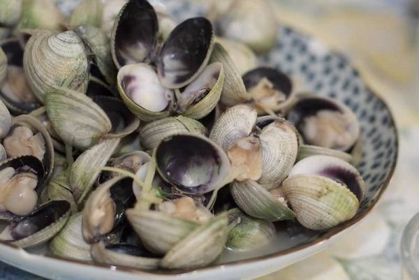 Unlock the Deliciousness of Cockles: What They Are and How to Cook Them ...